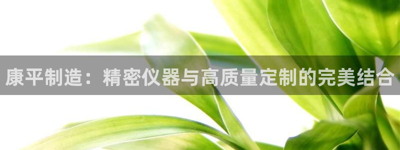 云顶国际公馆户型图：康平制造：精密仪器与高质量定制的完美结合