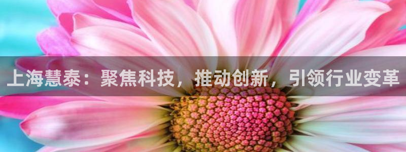 云顶国际公馆二手房出售：上海慧泰：聚焦科技，推动创新，引领行