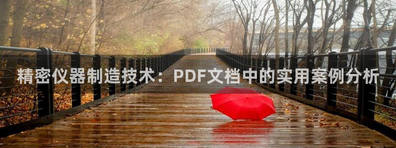 云顶国际物流官网：精密仪器制造技术：PDF文档中的实用案例分