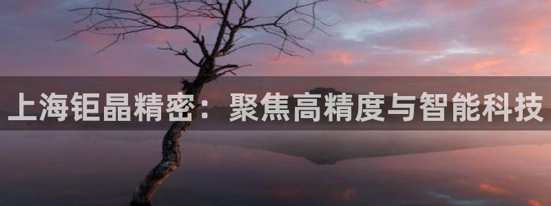 云顶国际投资有限公司：上海钜晶精密：聚焦高精度与智能科技