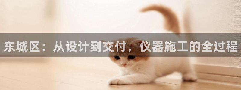 云顶国际在线购彩app：东城区：从设计到交付，仪器施工的全过
