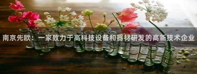 云顶国际网站2713366：南京先欧：一家致力于高科技设备和