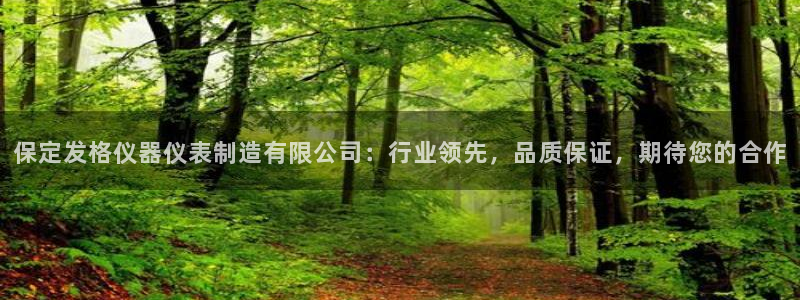 云顶控股集团有限公司：保定发格仪器仪表制造有限公司：行业领先