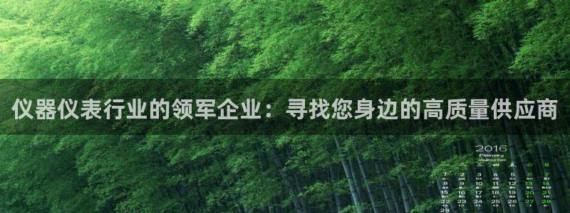 云顶国际是真实网站吗安全吗：仪器仪表行业的领军企业：寻找您身