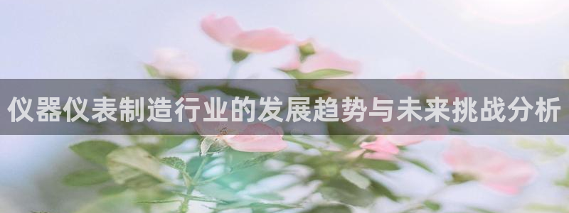 云顶国际nba智库：仪器仪表制造行业的发展趋势与未来挑战分析
