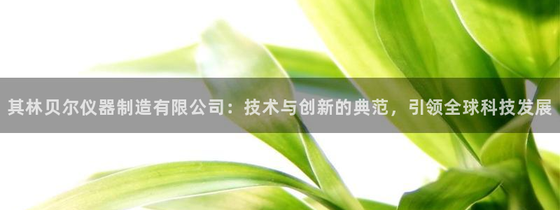 云顶国际网页版登录：其林贝尔仪器制造有限公司：技术与创新的典
