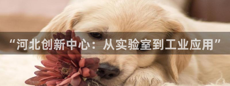 云顶国际装饰设计招聘：“河北创新中心：从实验室到工业应用”