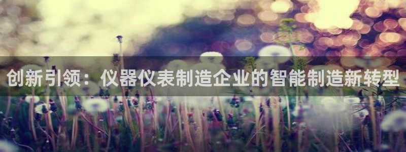 云顶国际老板是谁：创新引领：仪器仪表制造企业的智能制造新转型