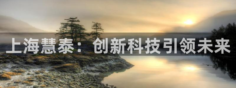 lol云顶国际服：上海慧泰：创新科技引领未来