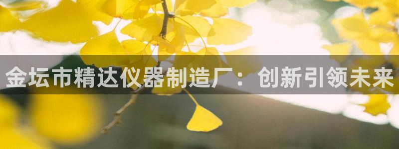 云顶国际服服务端错误：金坛市精达仪器制造厂：创新引领未来