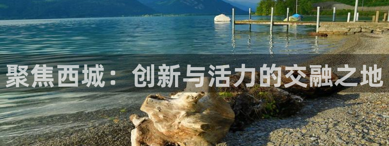 云顶国际集团io：聚焦西城：创新与活力的交融之地