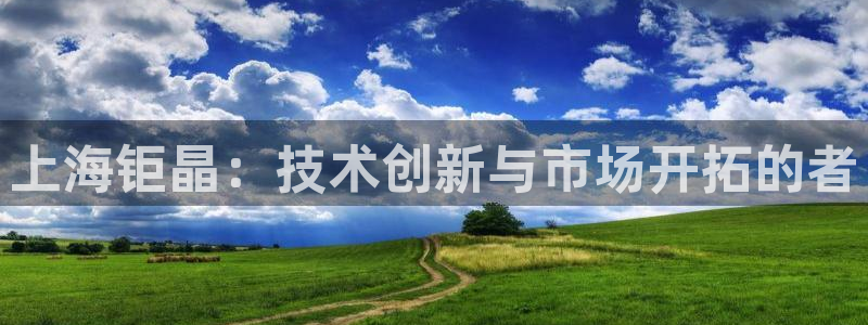 云顶yd官网2021：上海钜晶：技术创新与市场开拓的者