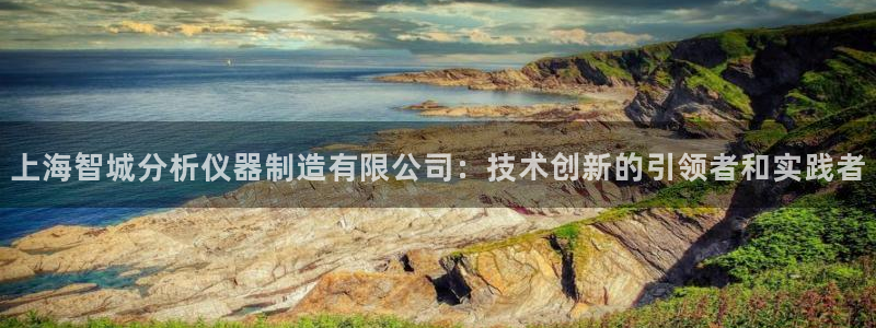 云顶国际服什么时候更新赛季：上海智城分析仪器制造有限公司：技