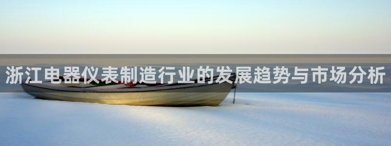 云顶集团中国分公司：浙江电器仪表制造行业的发展趋势与市场分析
