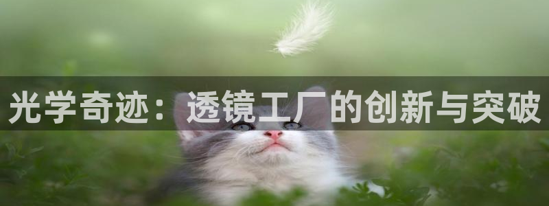 云顶国际的网址是多少：光学奇迹：透镜工厂的创新与突破