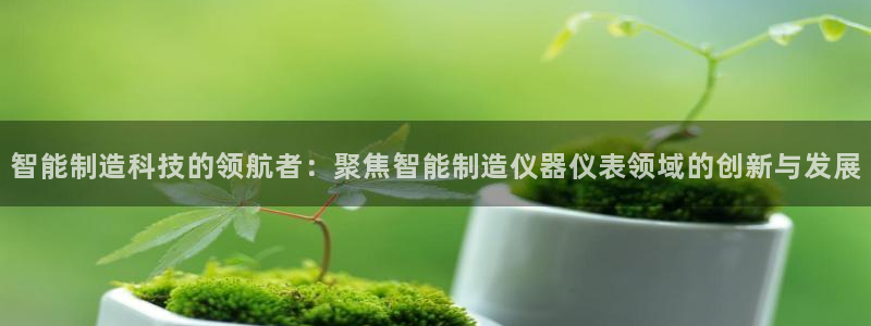 云顶国际集团发展有限公司国内项目总经理：智能制造科技的领航者