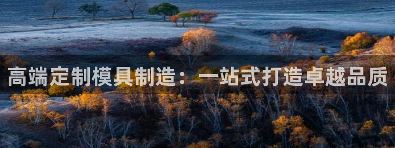 云顶集团3118官网下载：高端定制模具制造：一站式打造卓越品