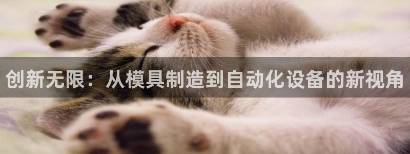 云顶国际培训中心电话：创新无限：从模具制造到自动化设备的新视