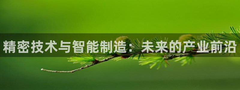 云顶国际酒店几星：精密技术与智能制造：未来的产业前沿