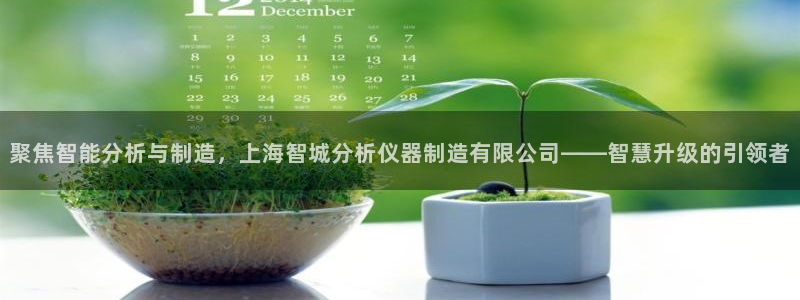 云顶集团游戏app8293：聚焦智能分析与制造，上海智城分析