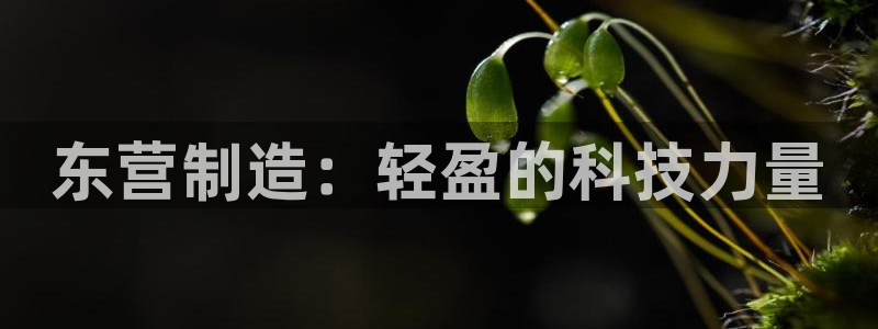 禹州云顶国际二手房：东营制造：轻盈的科技力量