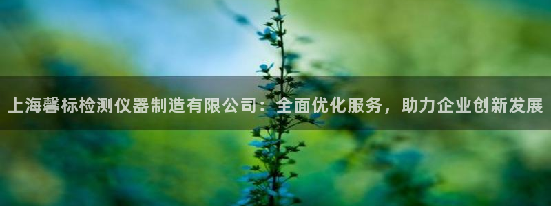 云顶t00：上海馨标检测仪器制造有限公司：全面优化服务，助力
