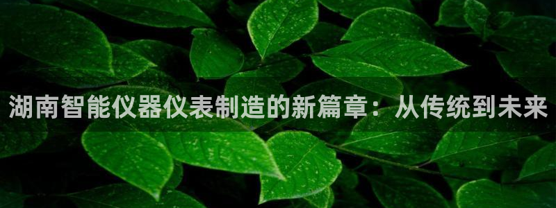 云顶平台的登录入口：湖南智能仪器仪表制造的新篇章：从传统到未
