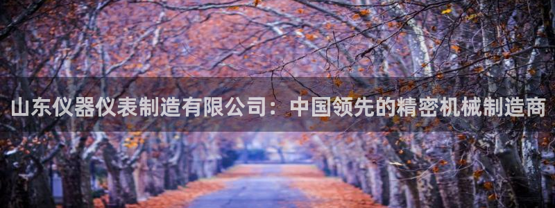 云顶国际版怎么下载：山东仪器仪表制造有限公司：中国领先的精密