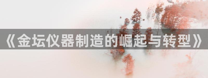 云顶国际物流官网电话：《金坛仪器制造的崛起与转型》