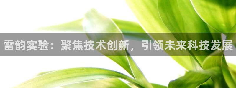 云顶电子游戏网站：雷韵实验：聚焦技术创新，引领未来科技发展
