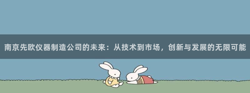 云顶游戏网站网址：南京先欧仪器制造公司的未来：从技术到市场，