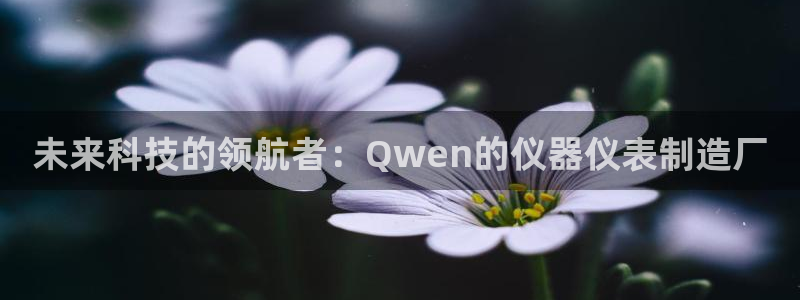 太原云顶国际大酒店订餐：未来科技的领航者：Qwen的仪器仪表