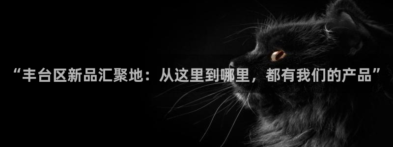 云顶集团中国区执行总裁是谁：“丰台区新品汇聚地：从这里到哪里