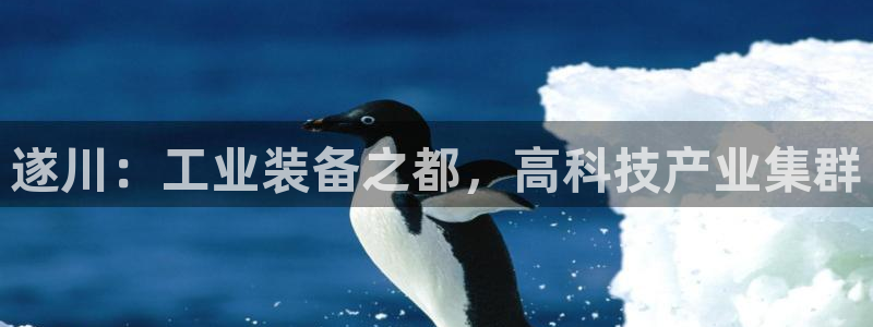 云顶集团游戏app苹果版：遂川：工业装备之都，高科技产业集群