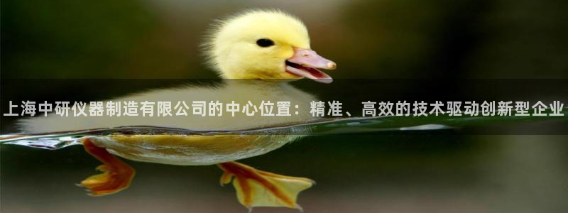 云顶国际百姓渔村有澳龙吗：上海中研仪器制造有限公司的中心位置