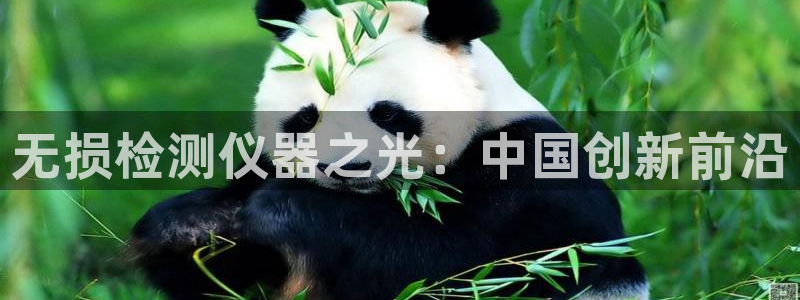 云顶国际贴吧：无损检测仪器之光：中国创新前沿