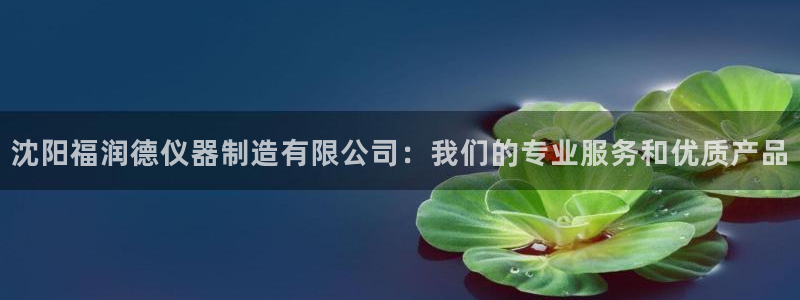 云顶国际会所电话：沈阳福润德仪器制造有限公司：我们的专业服务