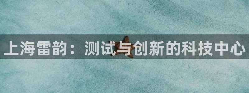 云顶国际商业广场 停车费怎么收：上海雷韵：测试与创新的科技中