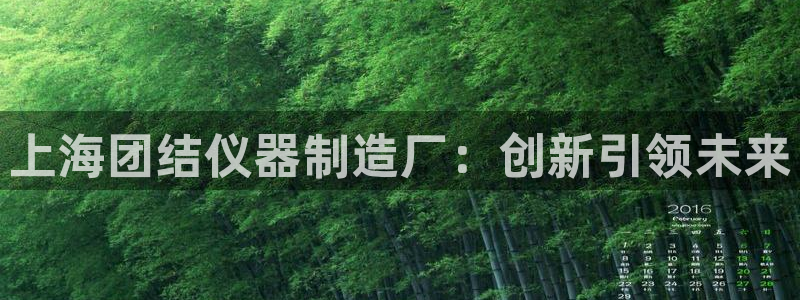 云顶国际是个什么平台：上海团结仪器制造厂：创新引领未来