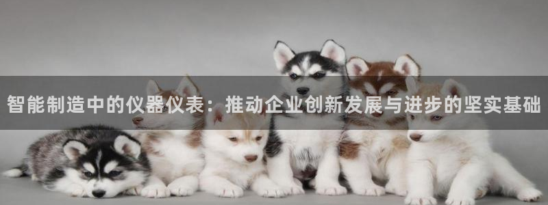 中国云顶集团：智能制造中的仪器仪表：推动企业创新发展与进步的