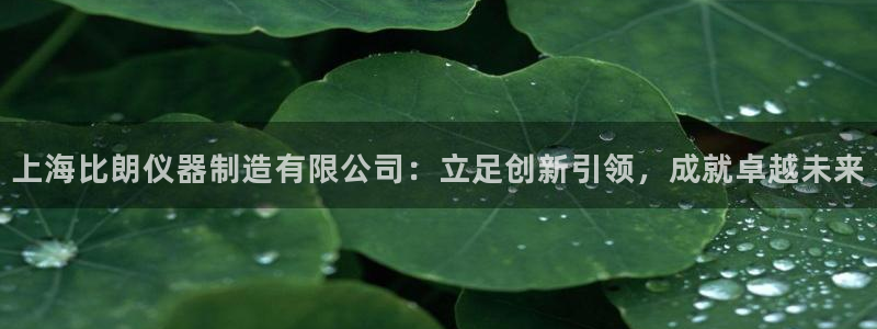 云顶集团3118app下载：上海比朗仪器制造有限公司：立足创