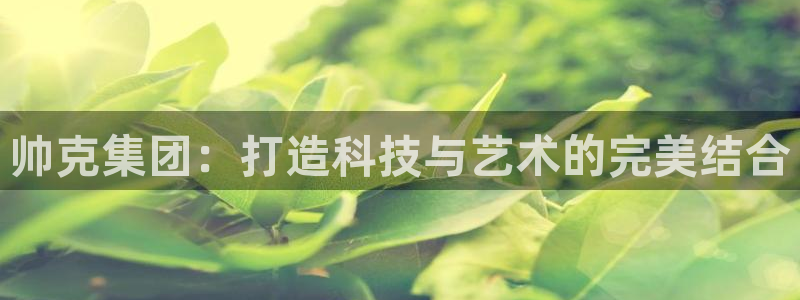 云顶国际pg网站：帅克集团：打造科技与艺术的完美结合