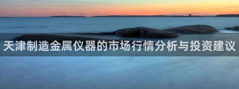 云顶国际比赛：天津制造金属仪器的市场行情分析与投资建议