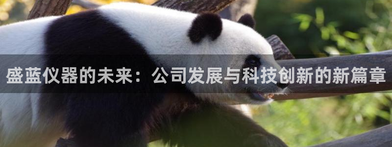 云顶国际物流有限公司：盛蓝仪器的未来：公司发展与科技创新的新