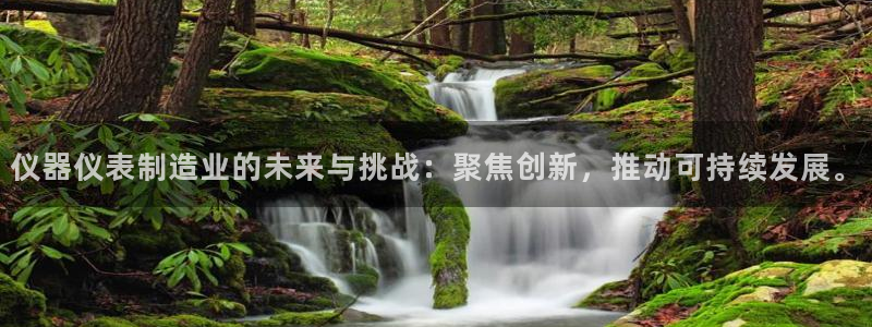 yd2333云顶电子游戏网址多少呢?：仪器仪表制造业的未来与