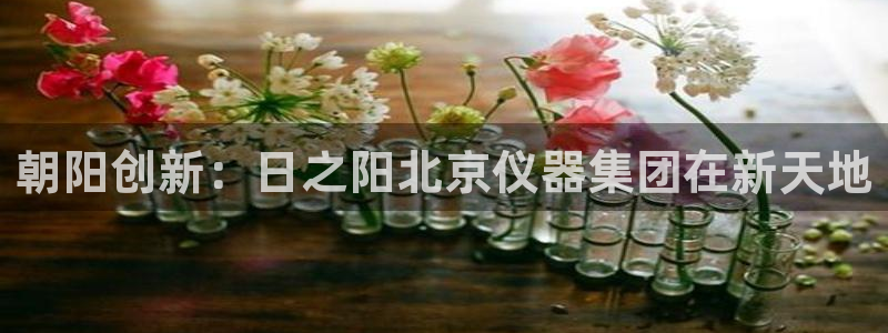 云顶国际App下载：朝阳创新：日之阳北京仪器集团在新天地