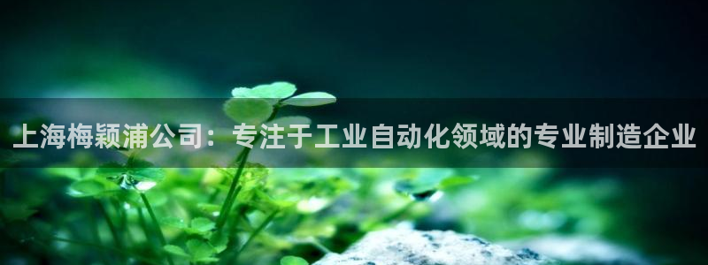 云顶国际测试服：上海梅颖浦公司：专注于工业自动化领域的专业制