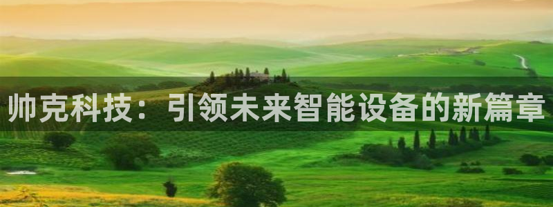 云顶国际实业有限公司：帅克科技：引领未来智能设备的新篇章
