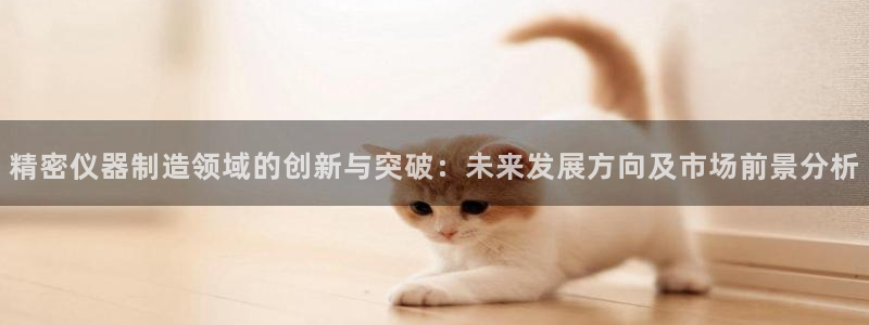 云顶国际酒店老板是谁：精密仪器制造领域的创新与突破：未来发展