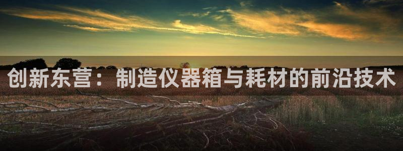 云顶集团app下载官网老版本：创新东营：制造仪器箱与耗材的前